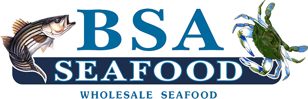 BSA Seafood, LLC logo