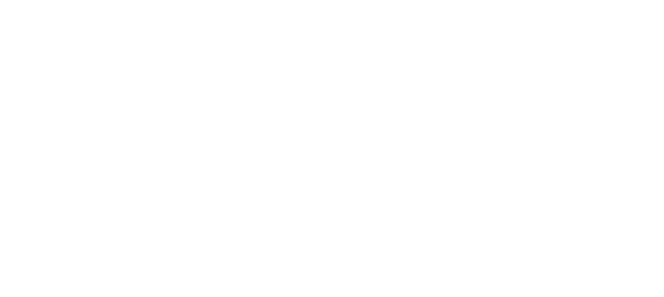 – Bluey Merino's logos