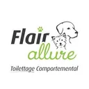 Flair Allure's icon