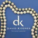 David Kodner's icon