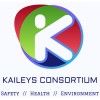 Kaileys Consortium's icon