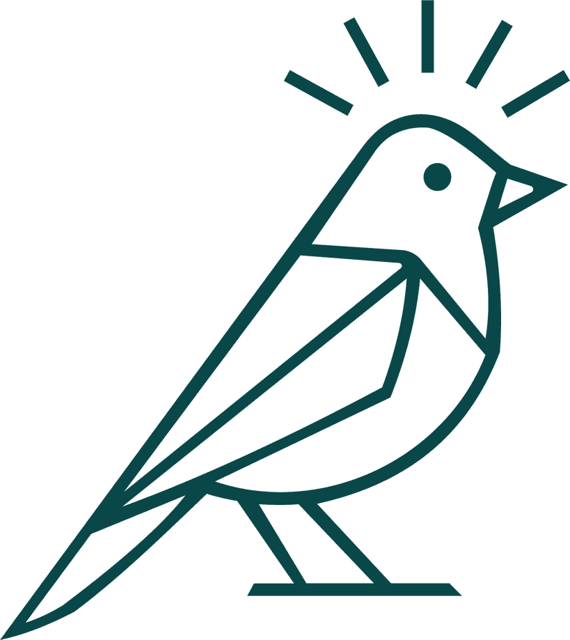 Bright Finch Coaching