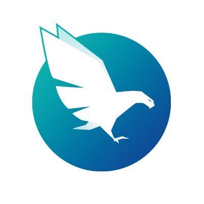 Hawk's icon