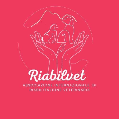 Riabilvet's icon