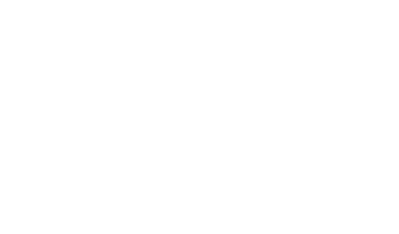The TJX Companies, Inc. logo