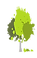 Random Forest Capital logo