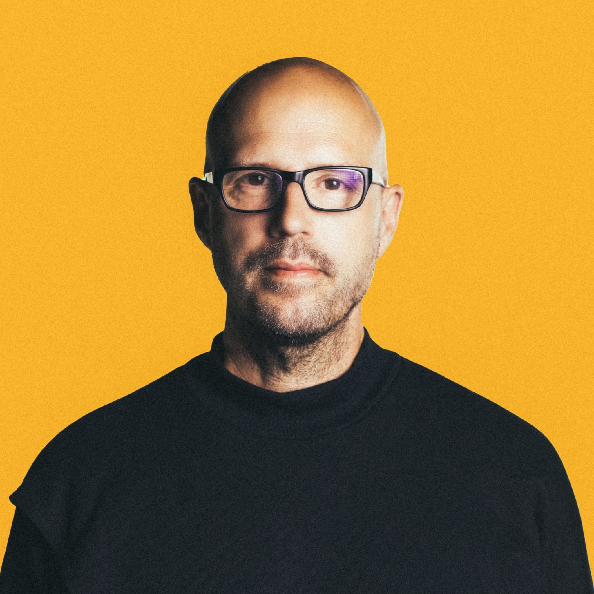 Schiller's icon