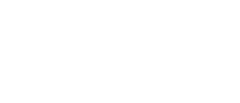 Meta