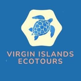 VI Ecotours's icon