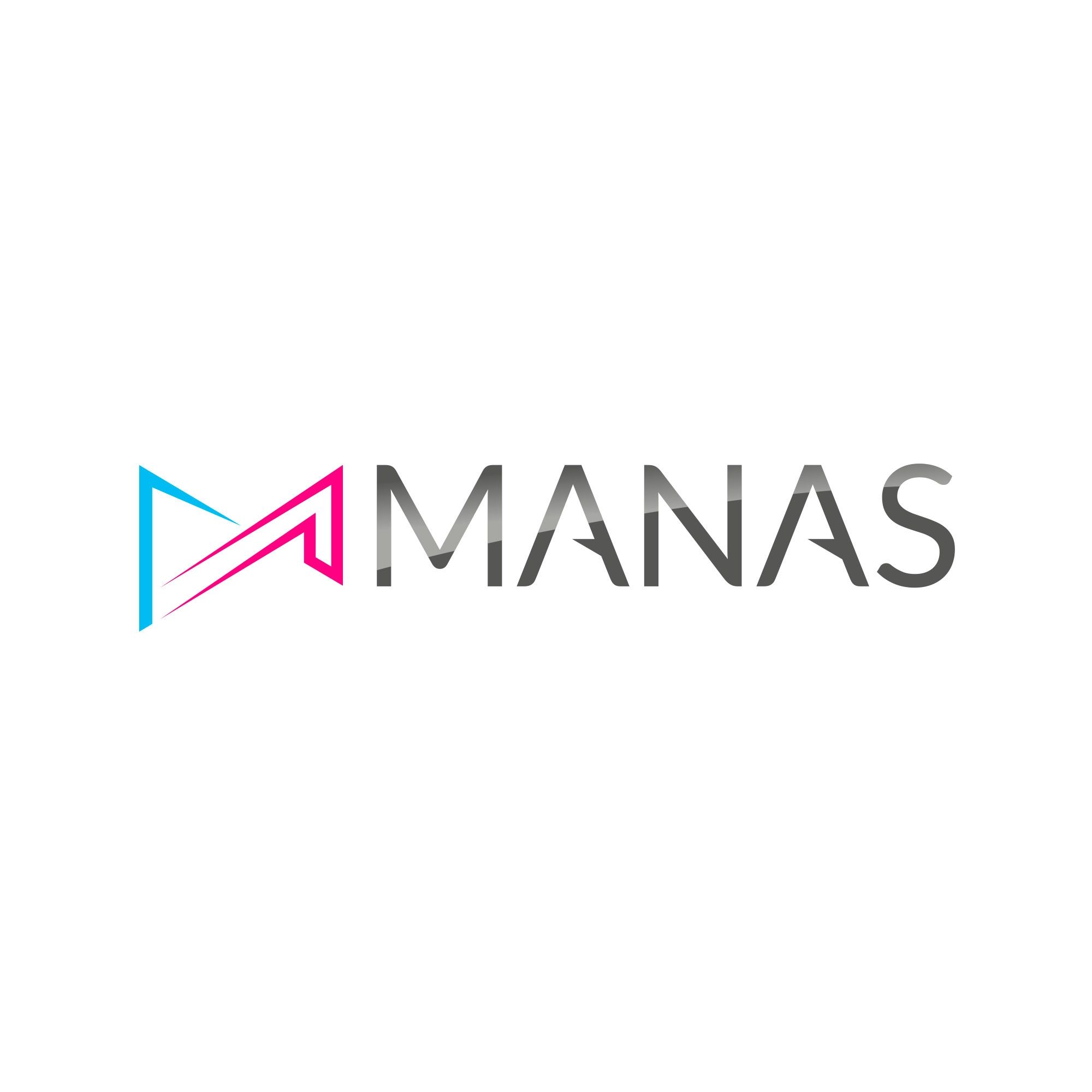 Manas TI's icon