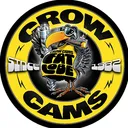 Crow Cams's icon