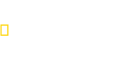 Ocean's Creek's logos