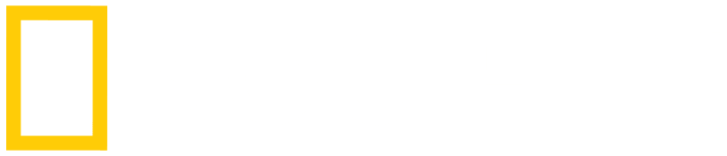 Kazka AI Consulting