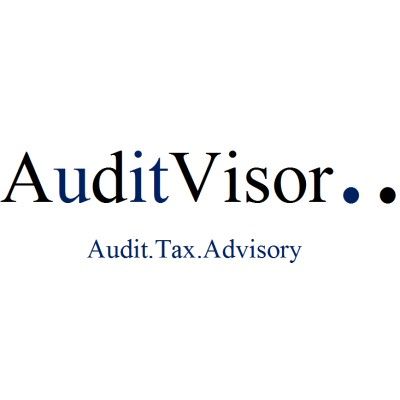 AuditVisor's icon