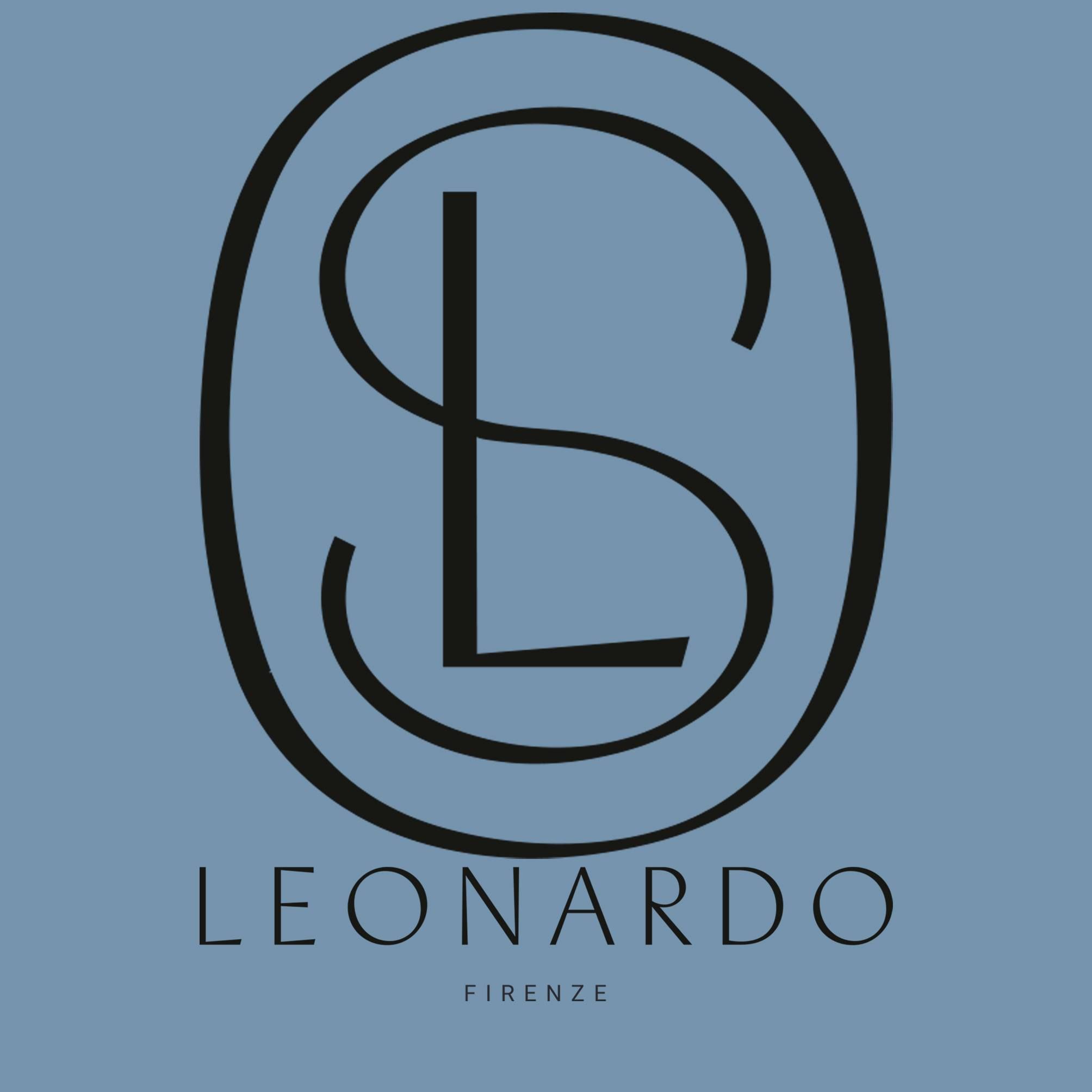 Leonardo Shoes's icon