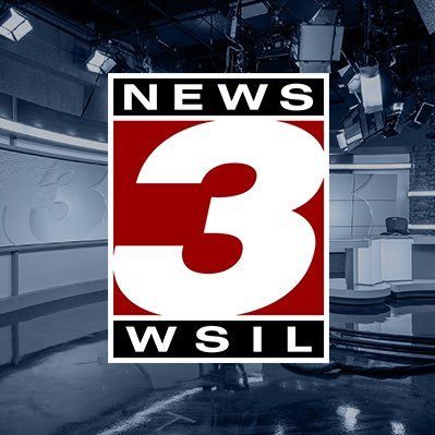 WSI logo