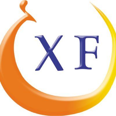 Xingfei Chemical's icon