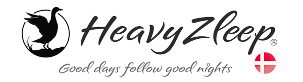 Heavyzleep.dk logo