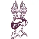 Copperman's icon