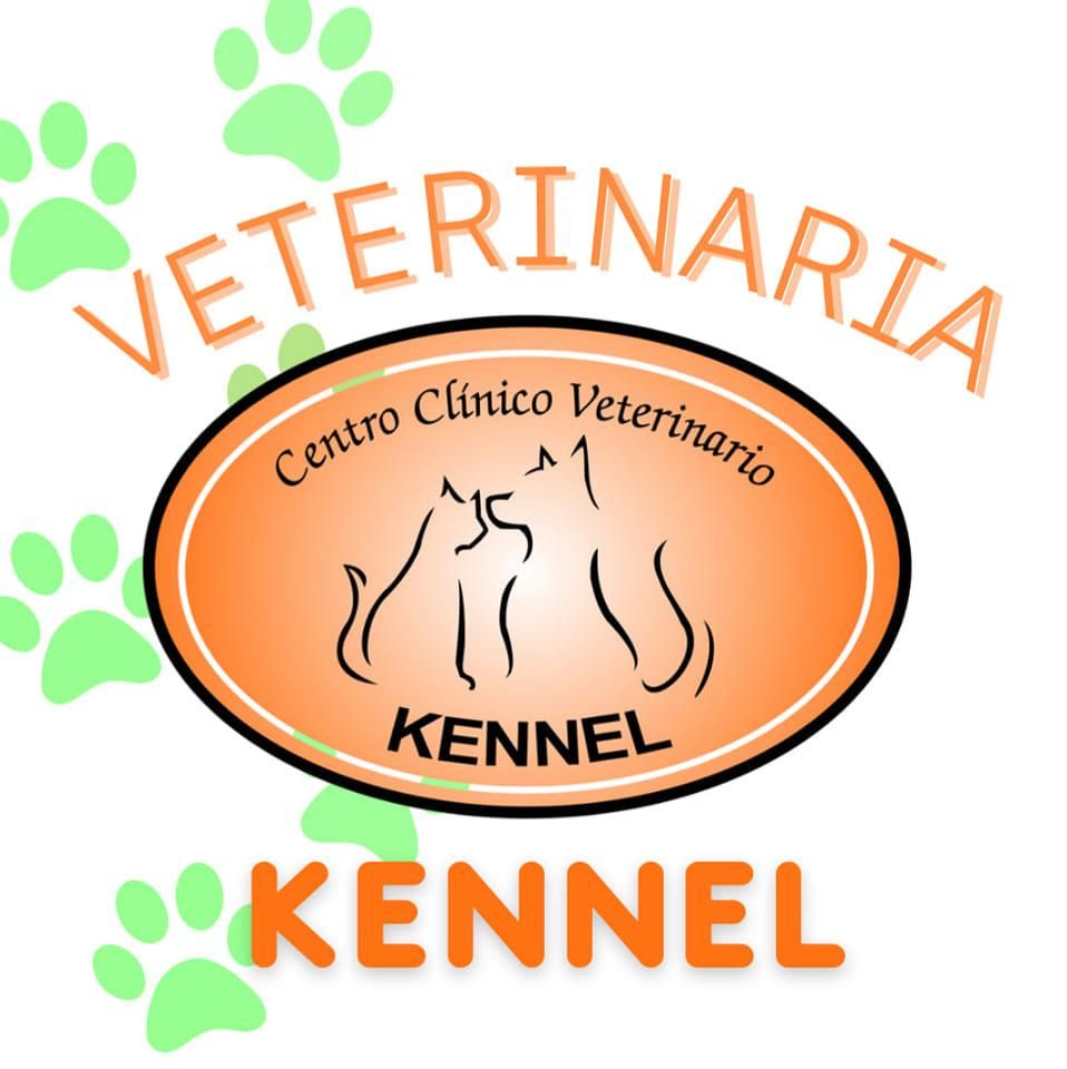 Clinica Kennel's icon
