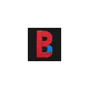 bsw-bricks.nl's icon