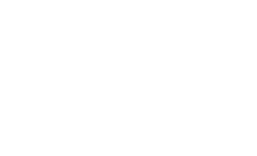 Black Bear's logos