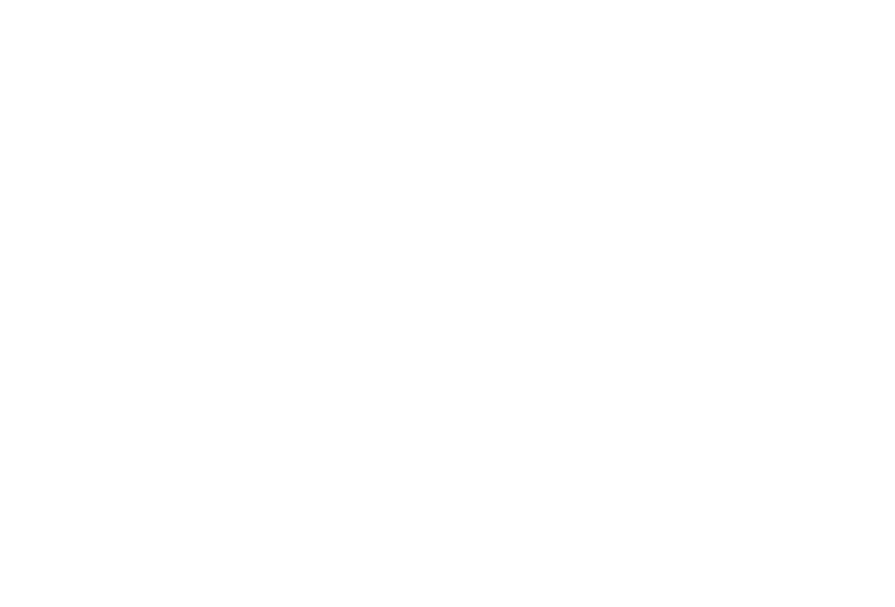 Vision 2030 Logo