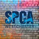 SPCA Westchester's icon