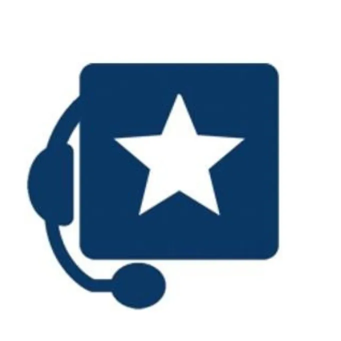 Disabled Veteran Solutions logo