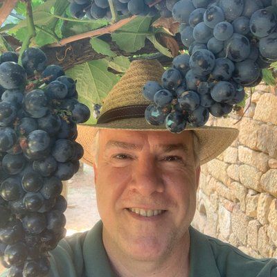 Vinodeando's icon