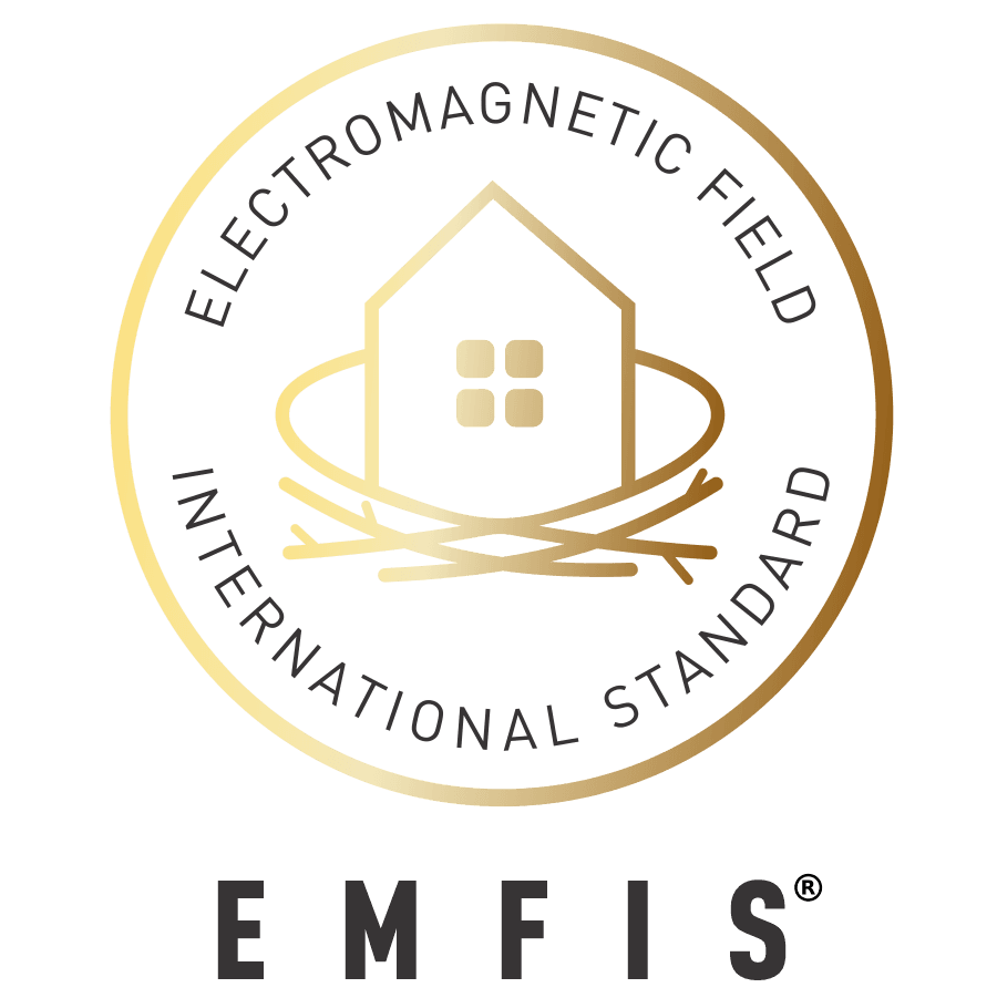 EMFIS's logos