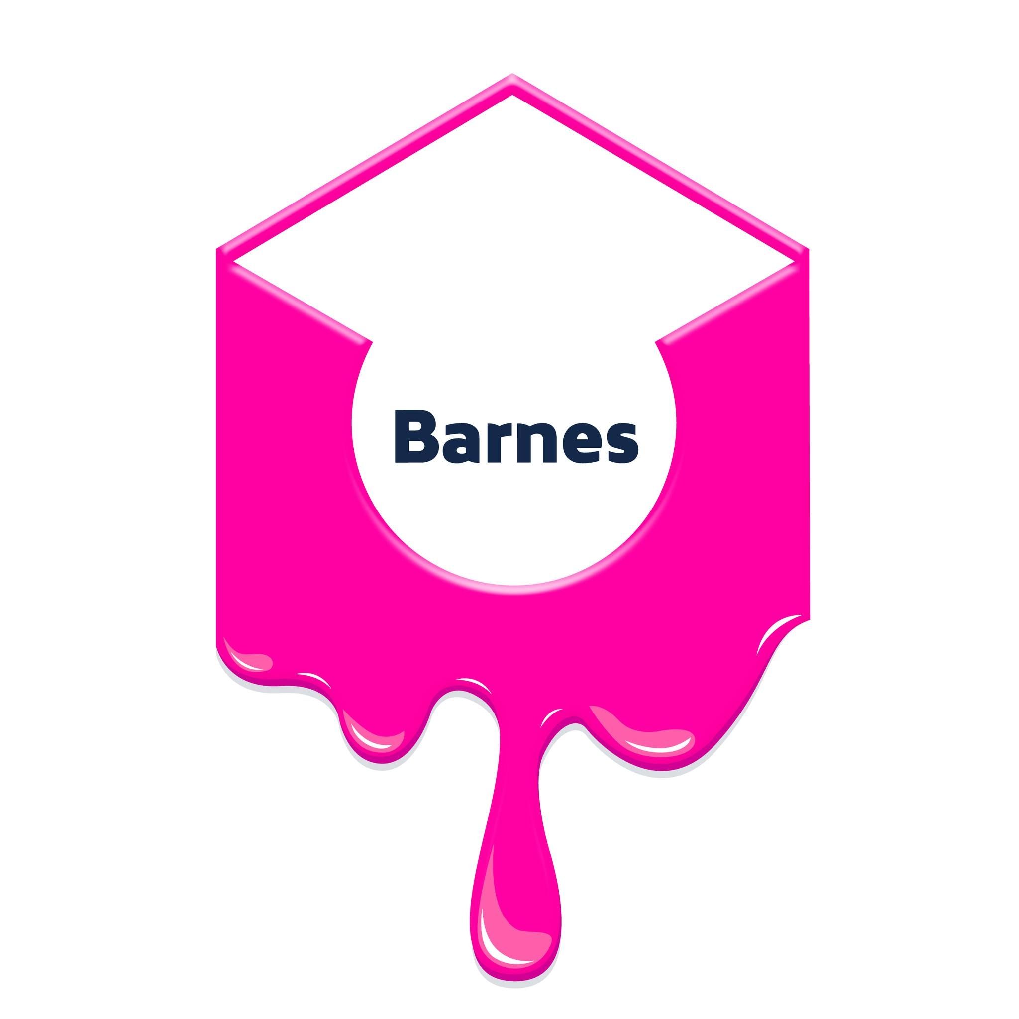 barnesnz.co.nz's brand icon