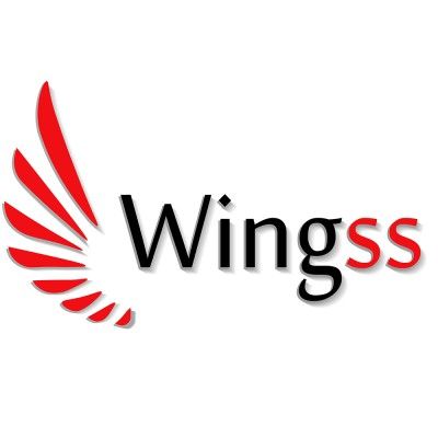 Wingss Asesoría Inmobiliaria's icon