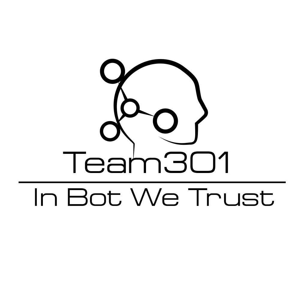 Team301 | Kyiv's icon