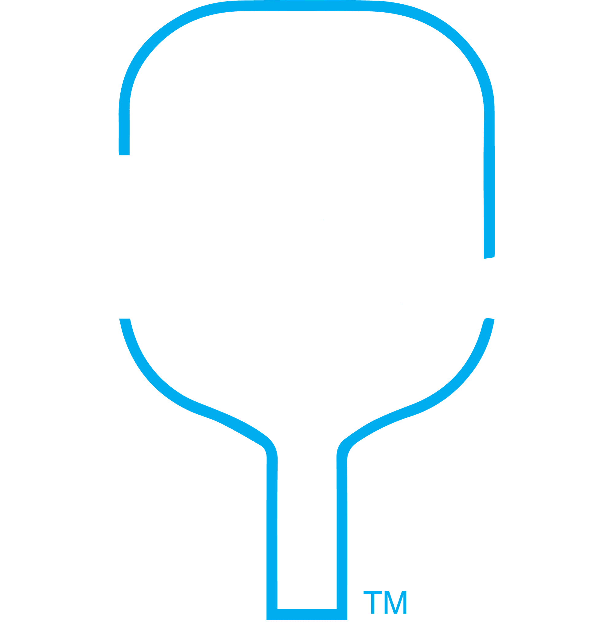 The Picklr logo
