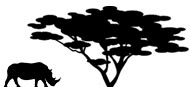 Rhino River Camp's logos