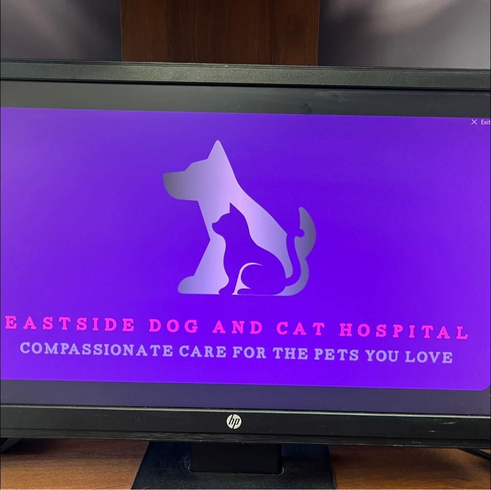 Eastside Dog and Cat's icon