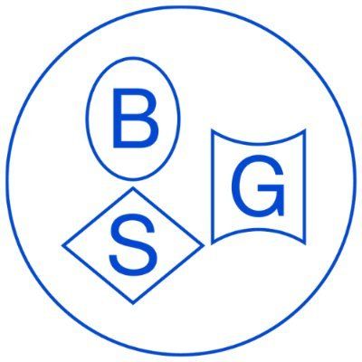 Berezha Security Group's icon