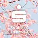Sparkasse Gummersbach's icon