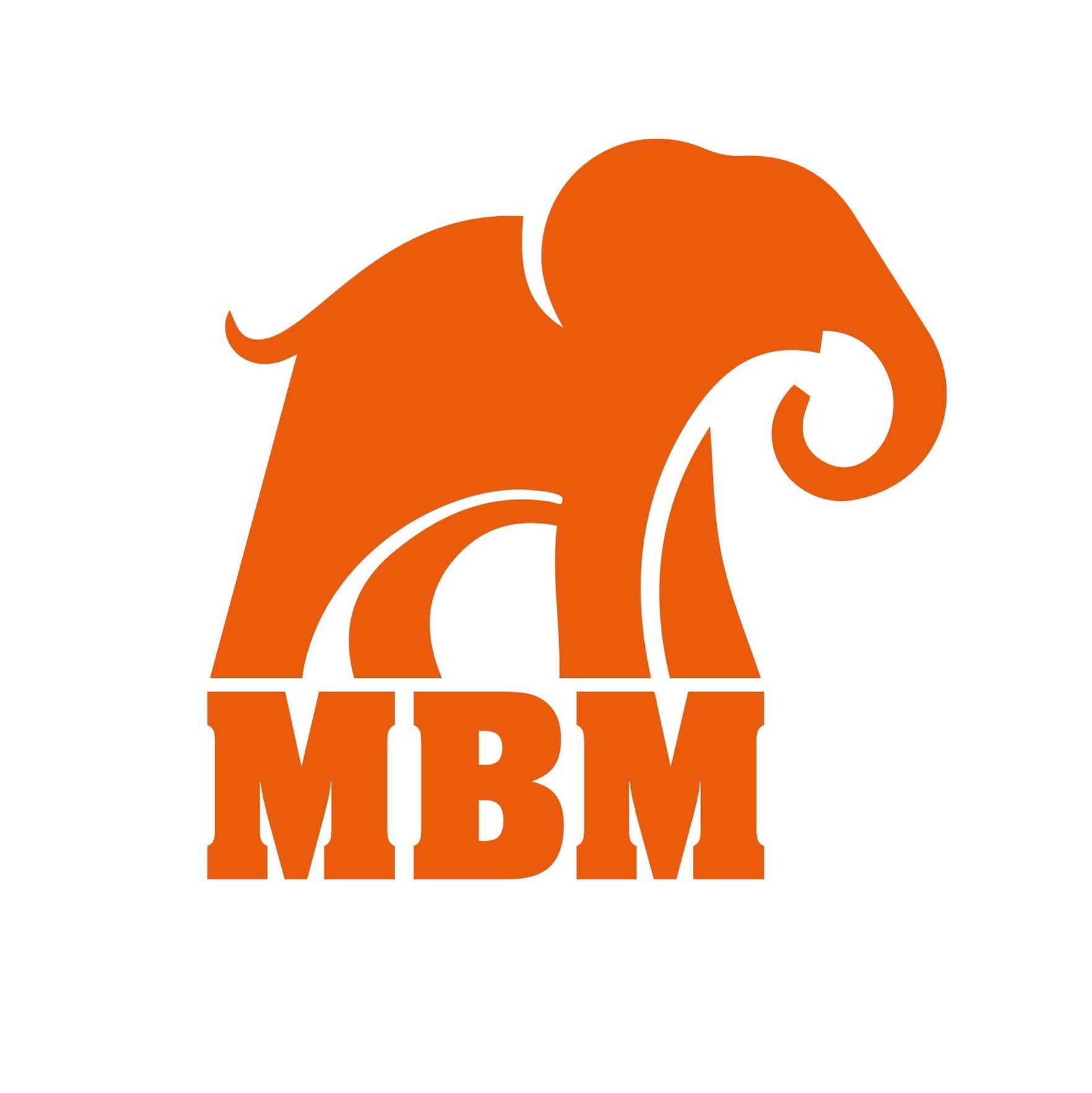 MBM Mathies Sanitärtechnik GmbH's icon