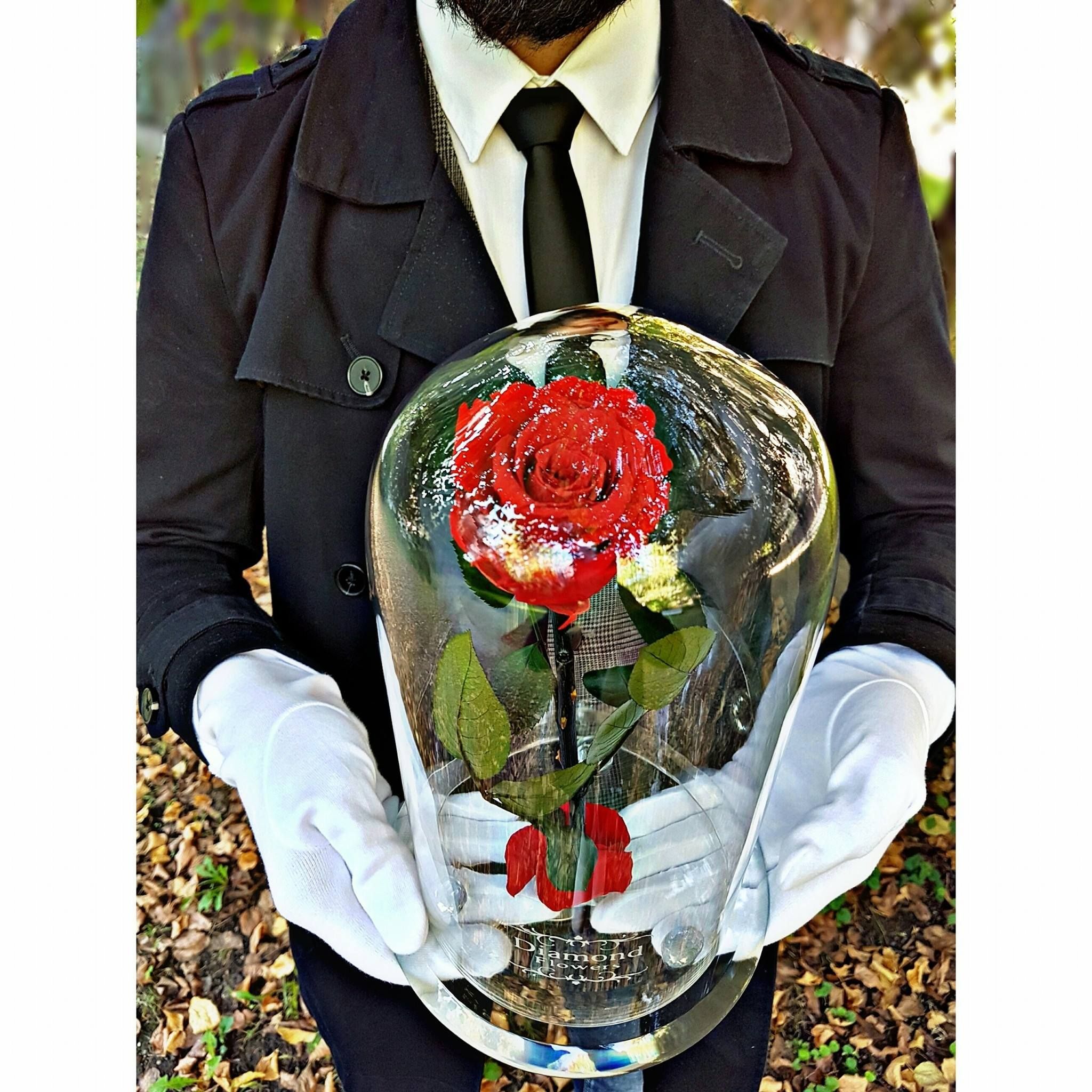 Diamond Flowers's icon