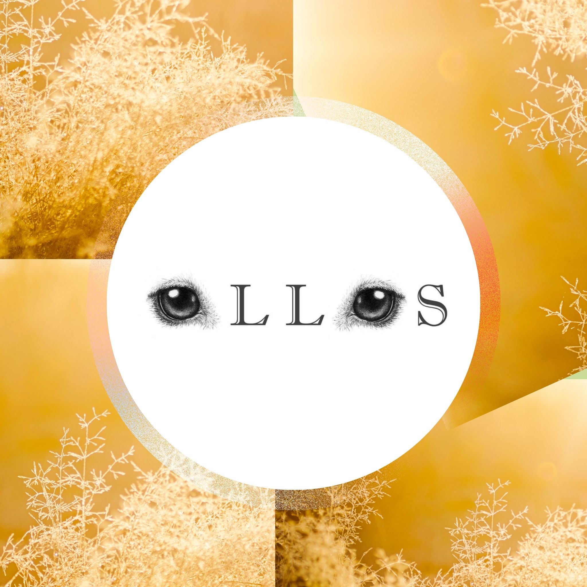 Ollos's brand icon