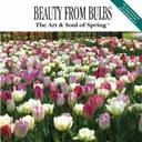 John Scheepers Beauty From Bulbs's icon