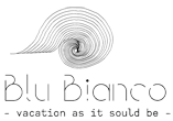 Blu Bianco's logos