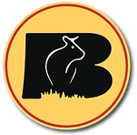Bellingar Packing logo