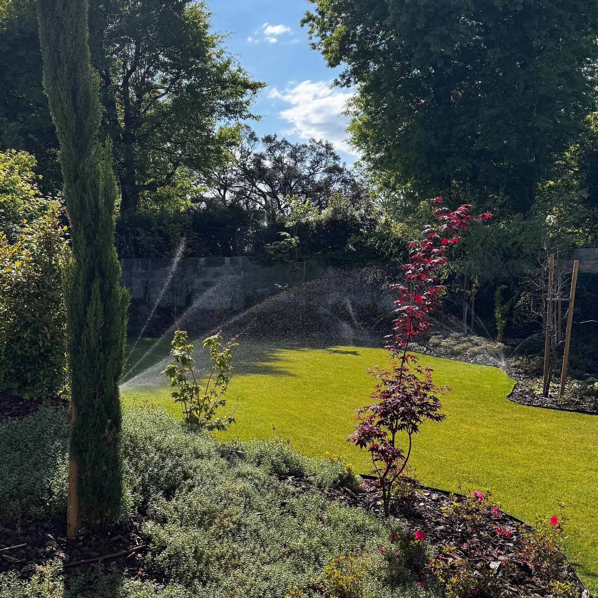 Máximo Jardins's icon