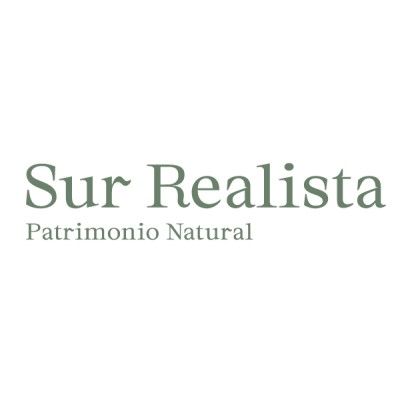 Sur Realista's icon
