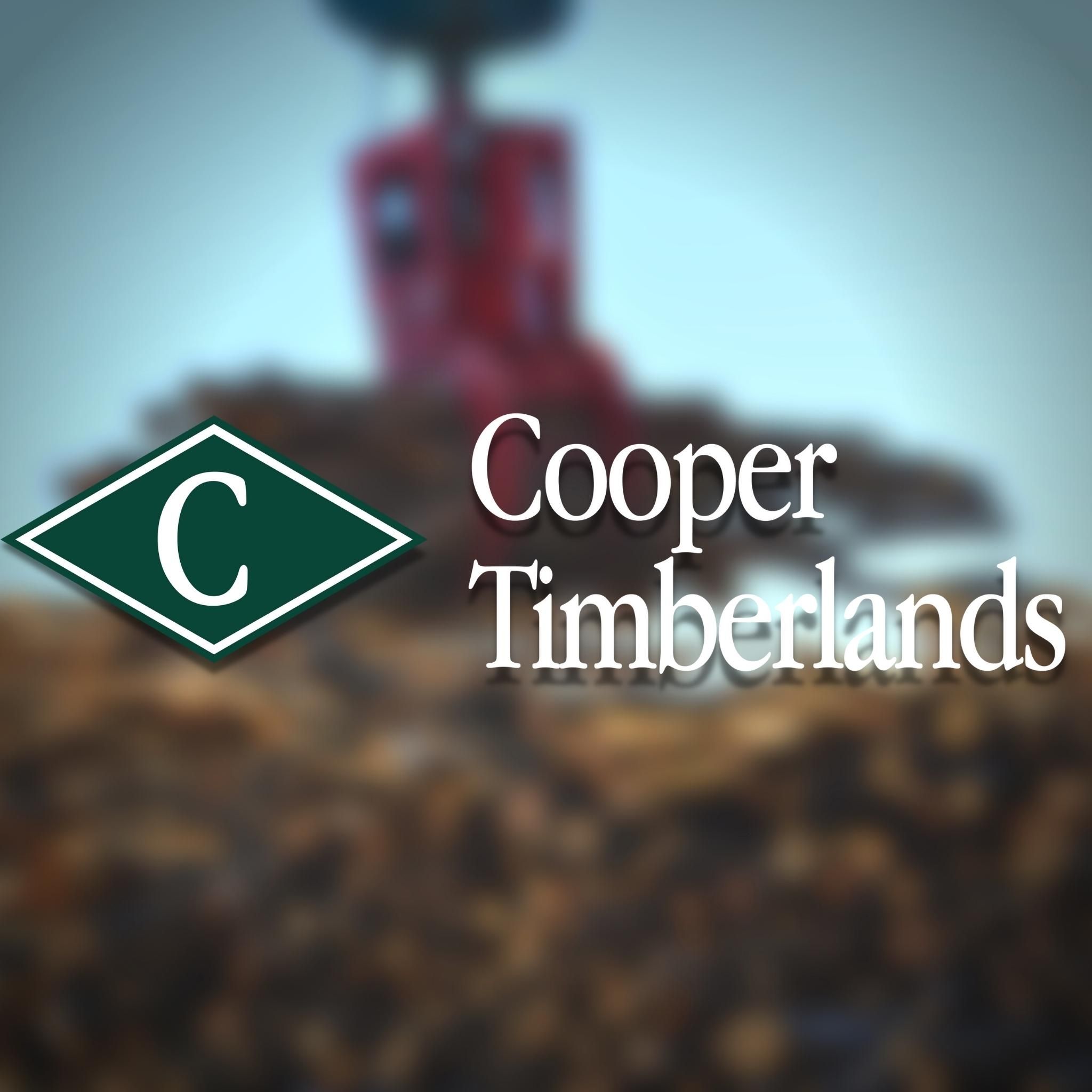 Cooper Timberlands's icon