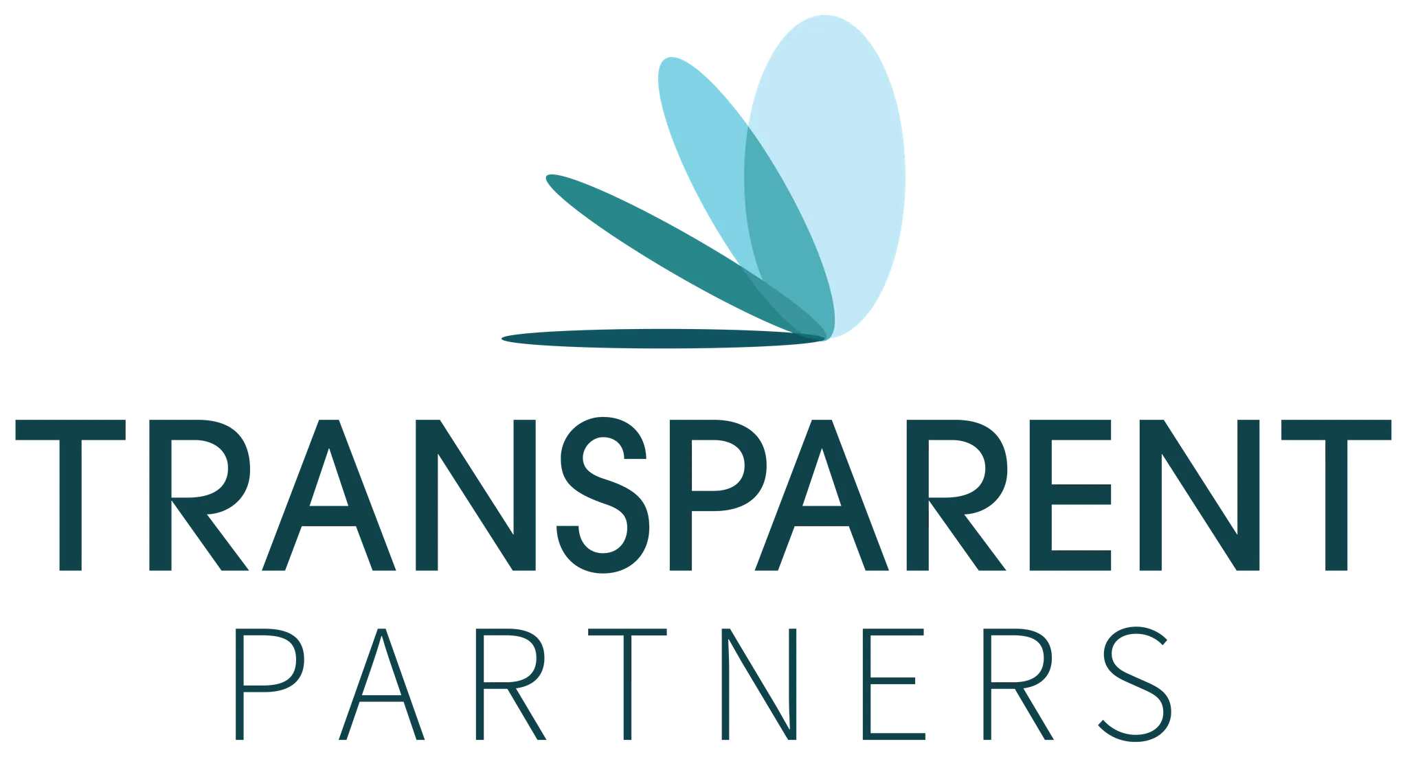 Transparent Partners logo