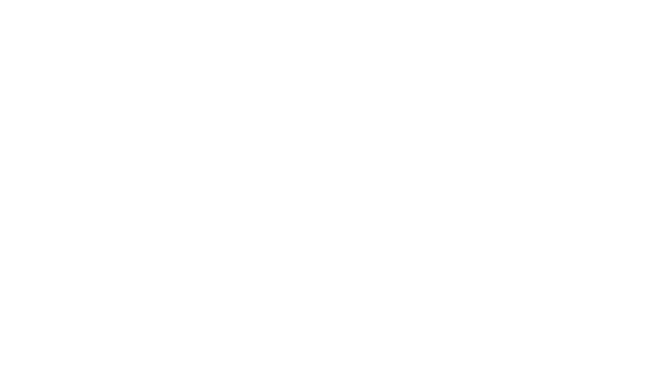 Siccas Guitars's logos